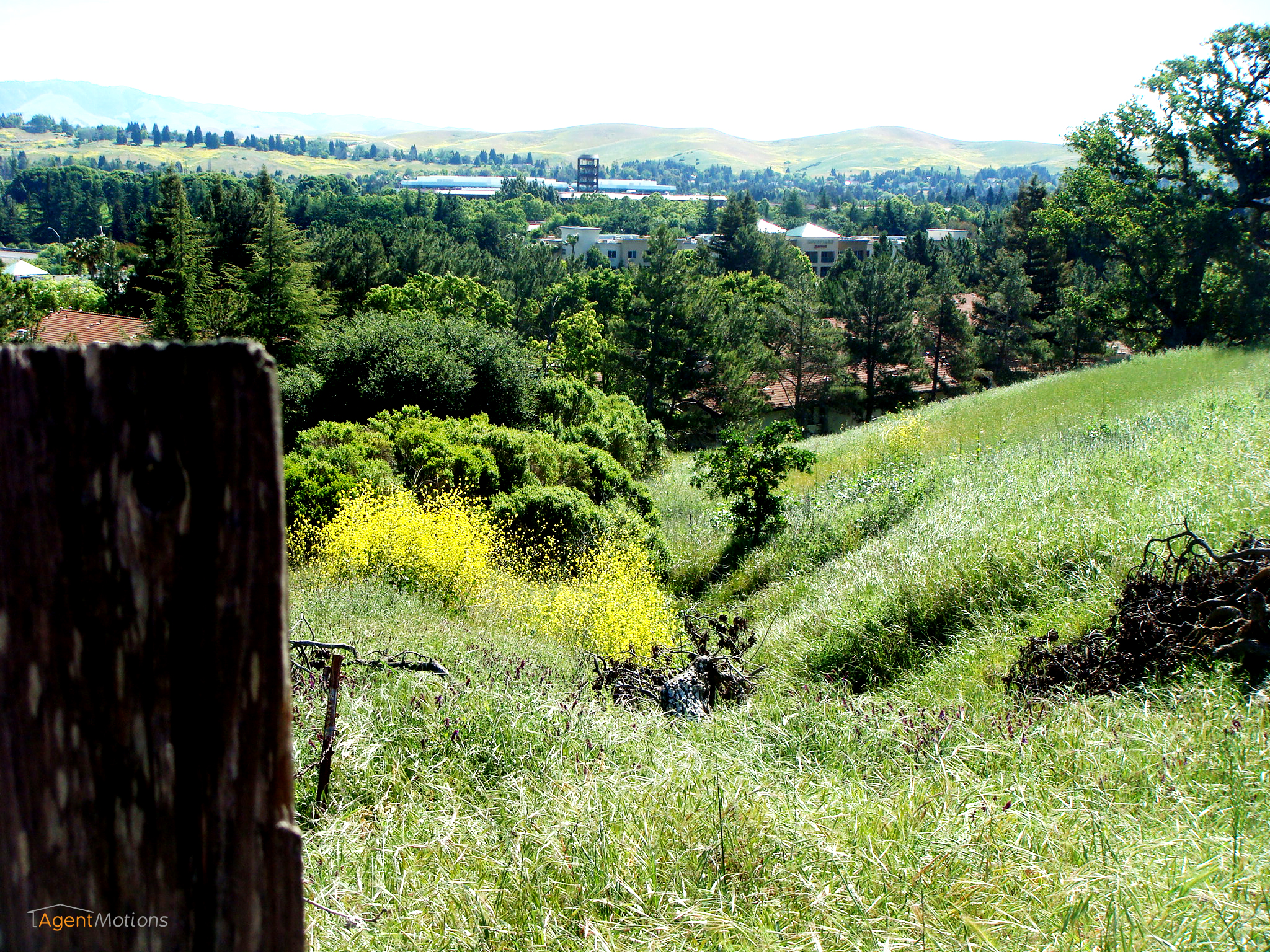 San Ramon scene for use by real estate agents in their marketing